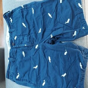 Men's Whale Shorts